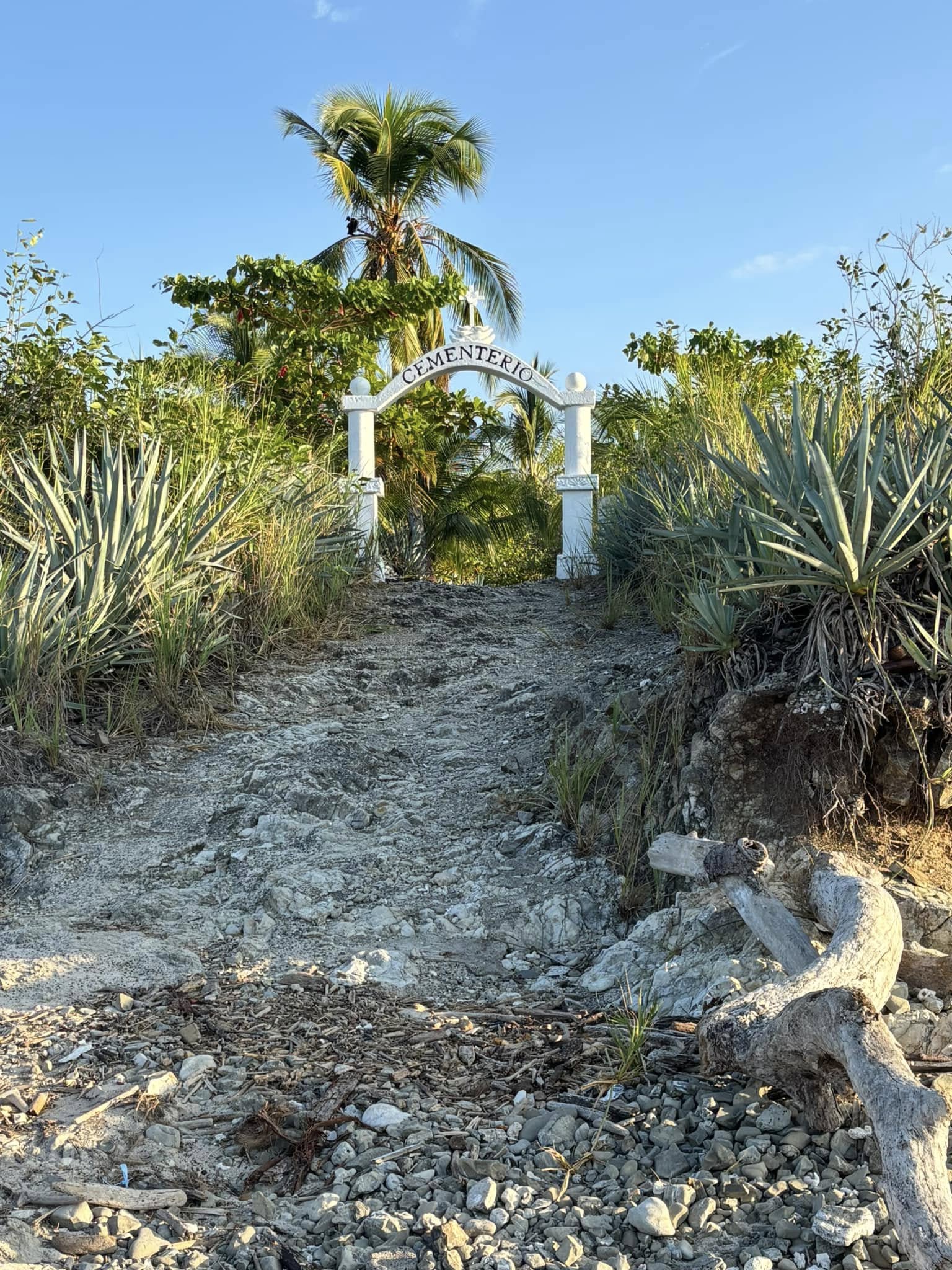 Nomading: T-Minus 53 Weeks: What if we die?