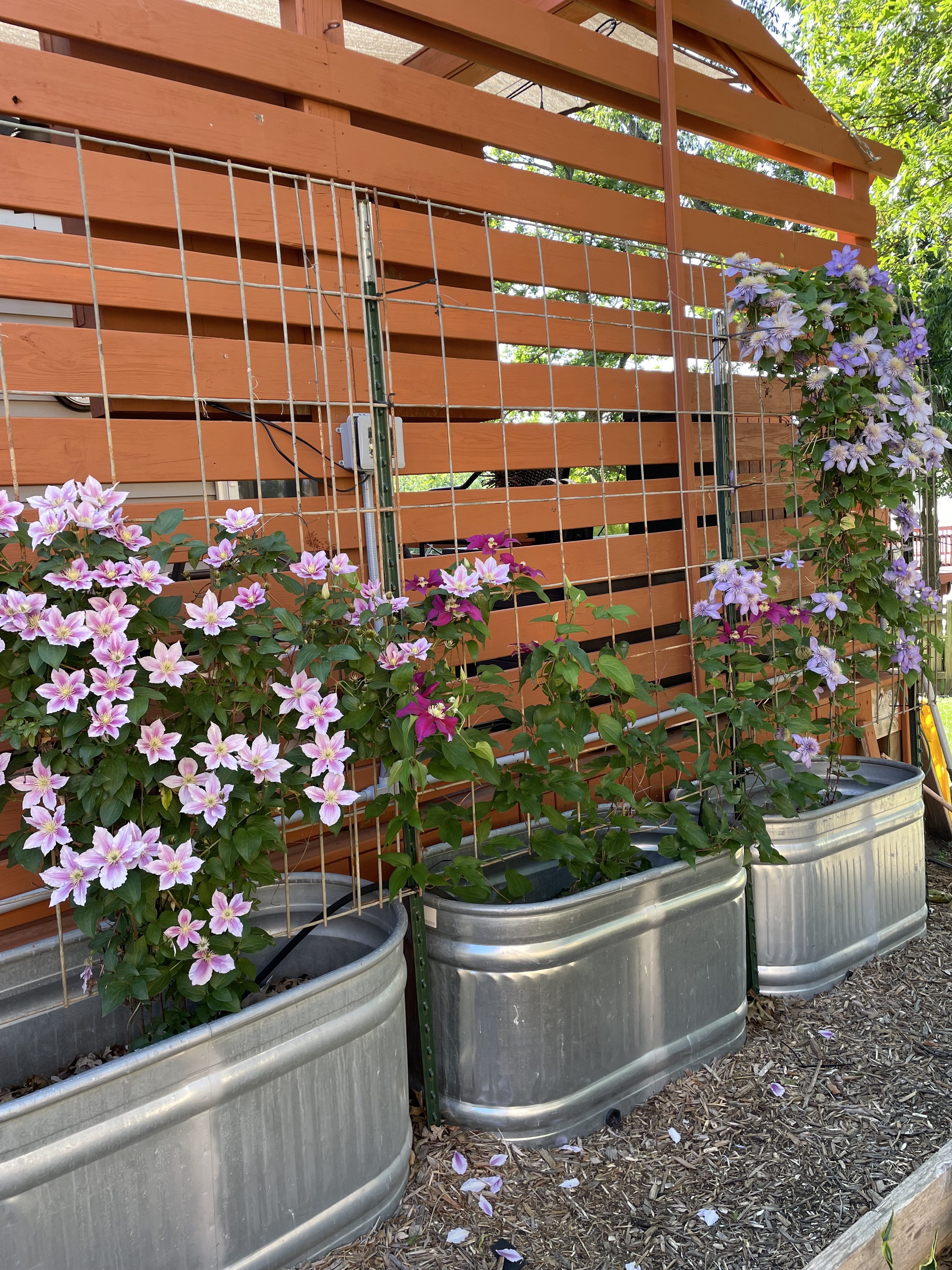 T-Minus 49 Weeks: Things we’ll miss plus another room makeover