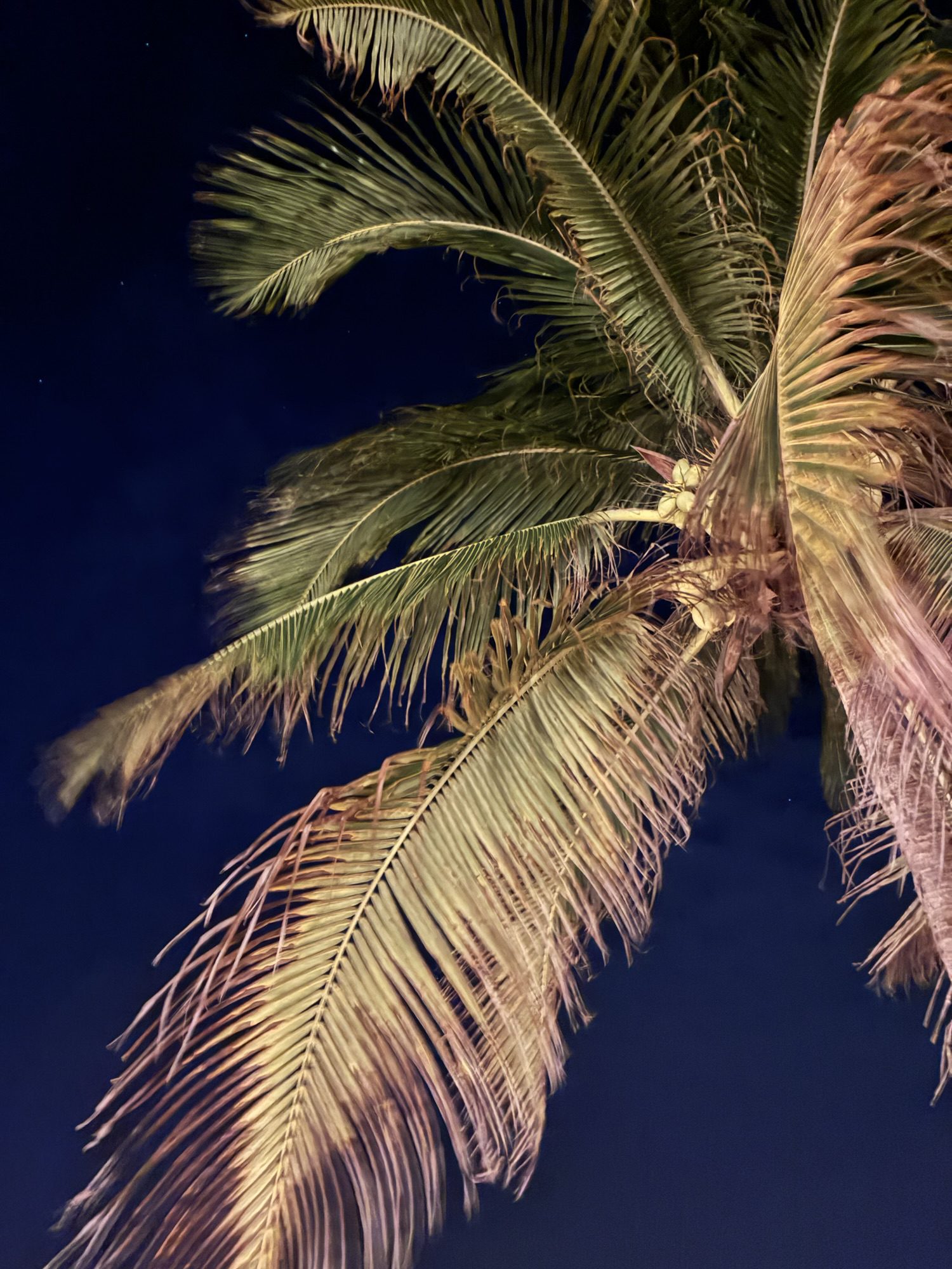 T-Minus 34 Weeks – Our vacation: the good, the bad, and the ugly