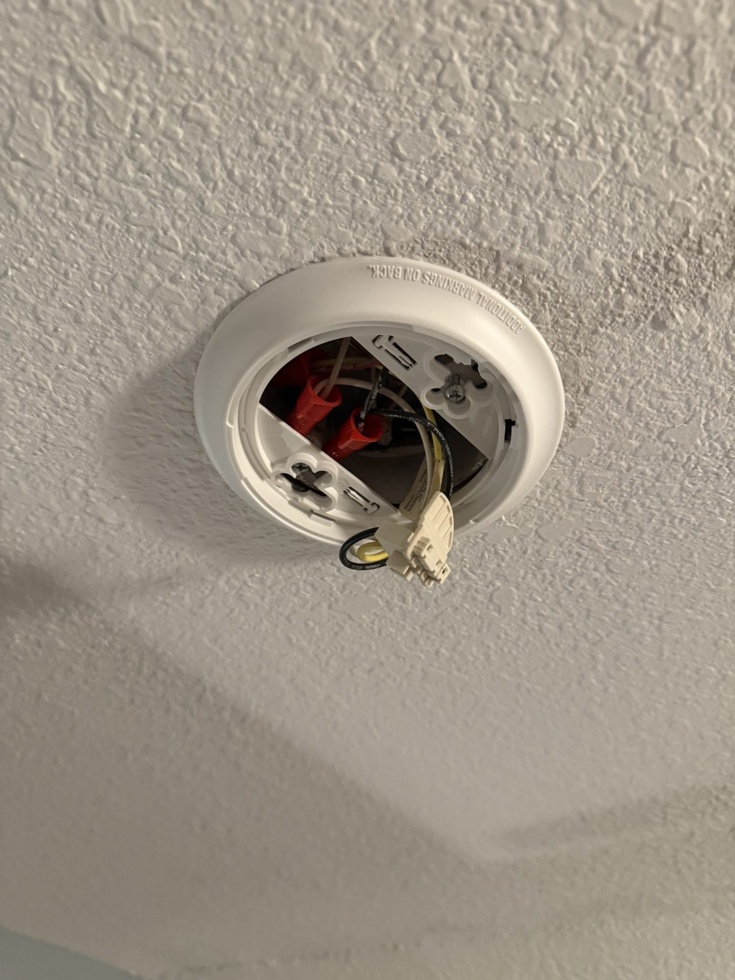 T-Minus 24 Weeks – Not every renovation is exciting